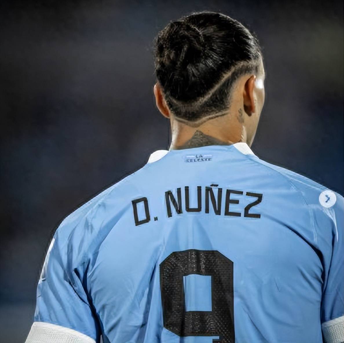 乐鱼官网-包含国际比赛日意甲传出新动向，本菲卡再遭质疑，管理层表态——质疑声仍在，细节决定成败的词条